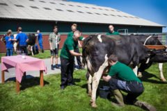 Danmarks bedste bonderøv på DR1