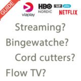 streamingudtryk guide