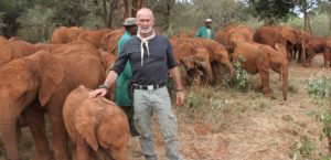 BS & De sidste elefanter