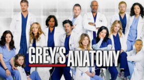 greys anatomy season 13