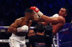 Boksning Anthony Joshua