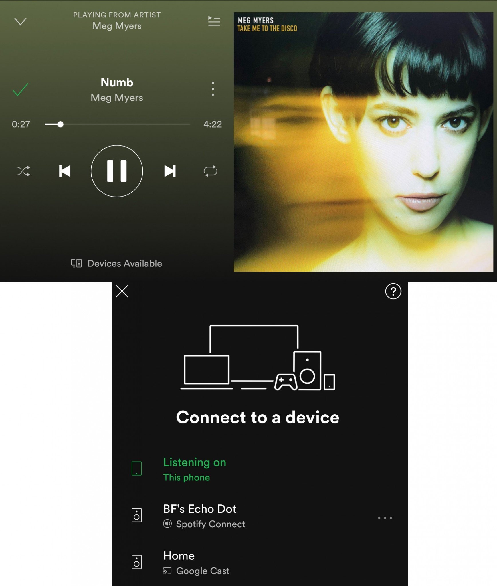 Spotify connect Echo Google Home
