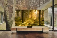 Samsung 2022 tv