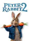 peter rabbit 2