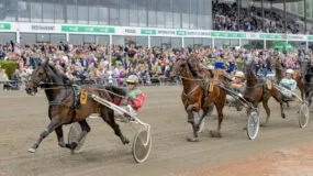 Dansk Trav Derby