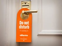 Do_Not_disturb_Allente._strawberry