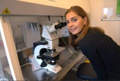 Hvordan bliver jeg gravid DRTV