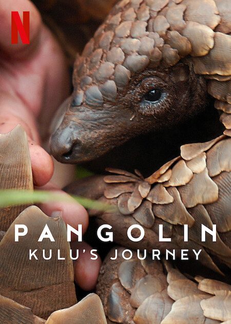 Pangolin: Kulu’s Journey