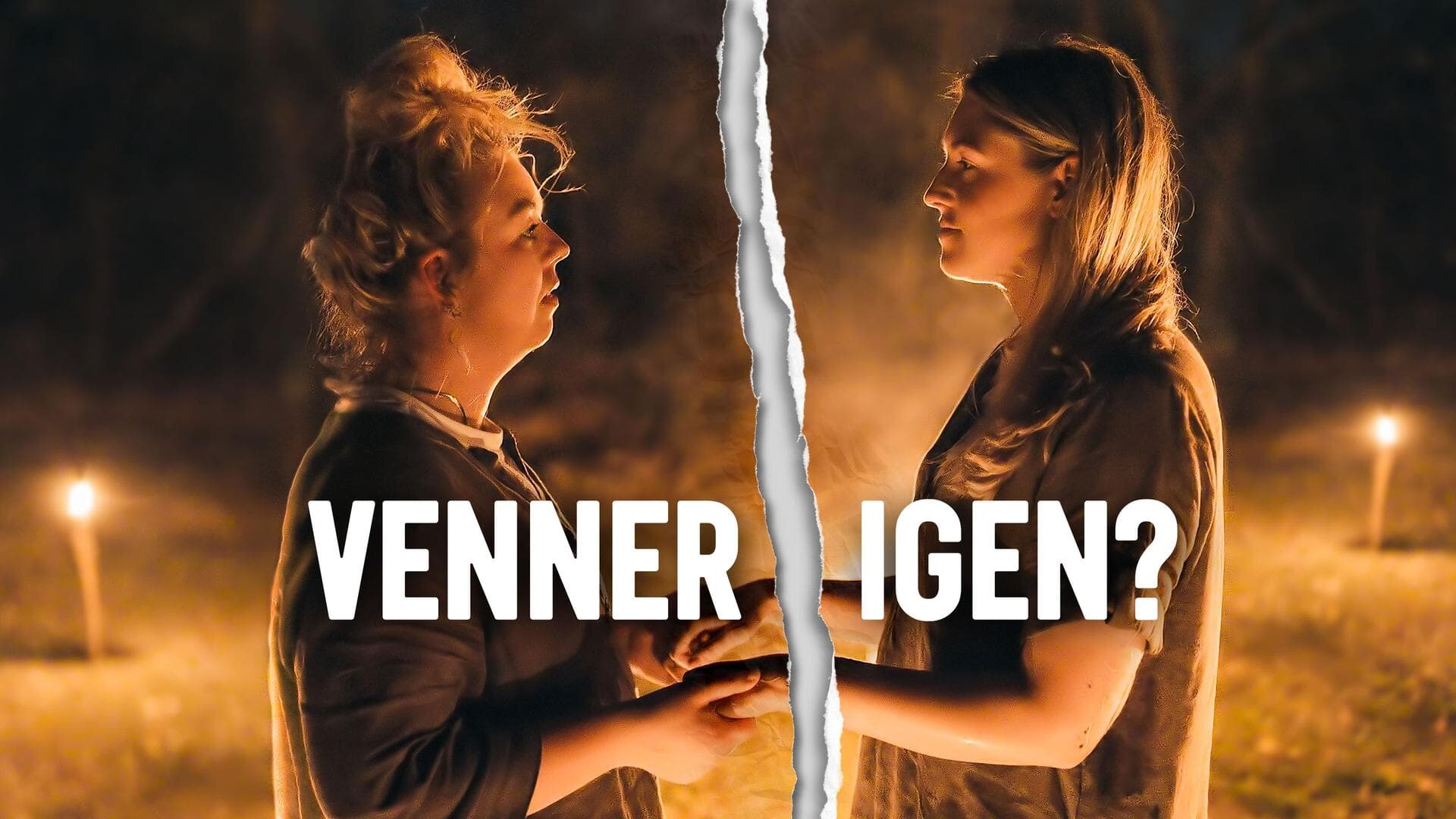 Venner igen – Sæson 2