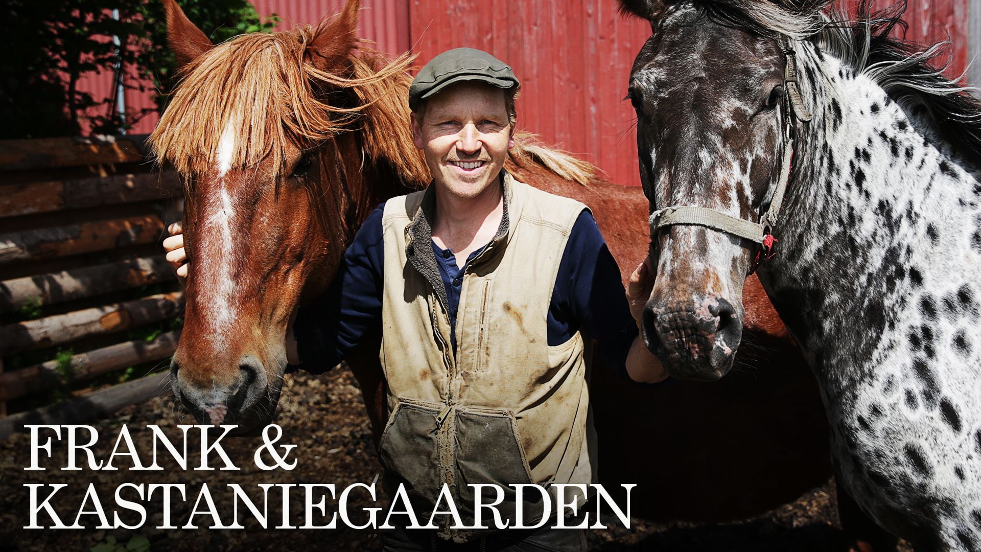 Frank & Kastaniegaarden 2026 DRTV