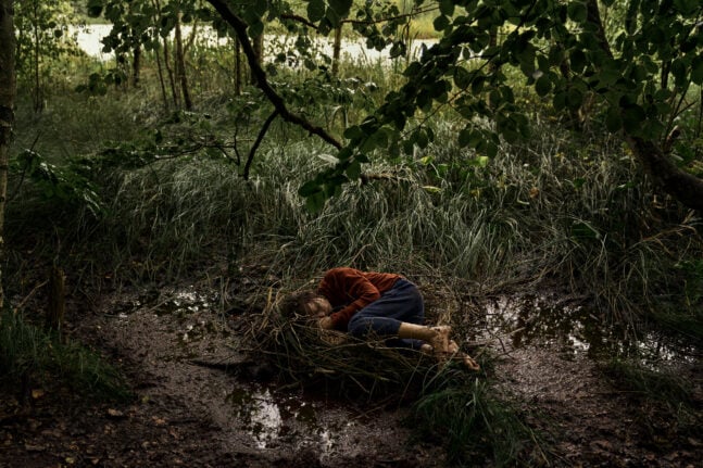 Kastanjemanden - Sæson 2