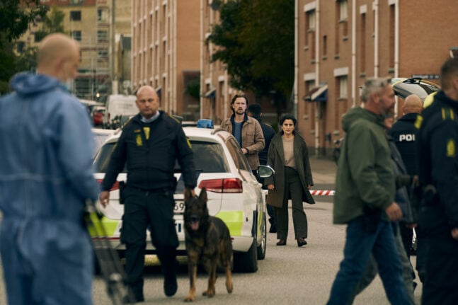 Kastanjemanden - Sæson 2