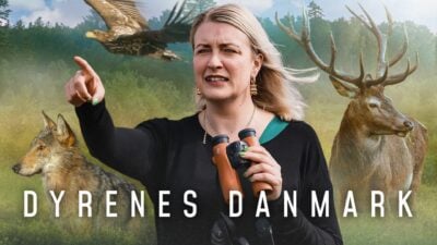 Dyrenes Danmark DRTV DR1
