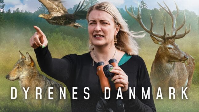 Dyrenes Danmark DRTV DR1