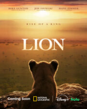 Lion Disney+