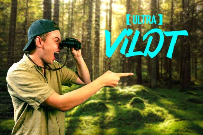 Ultra Vildt