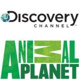 discoveryanimal