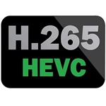 h.265 ny videostandard