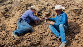 5f10428c63078 thumbnail