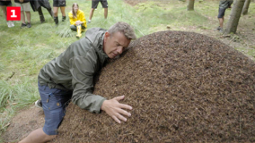 6 dage til zen DR TV