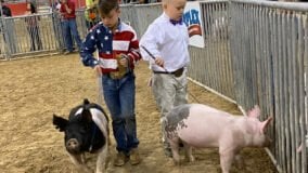 6059e88f77c2d thumbnail