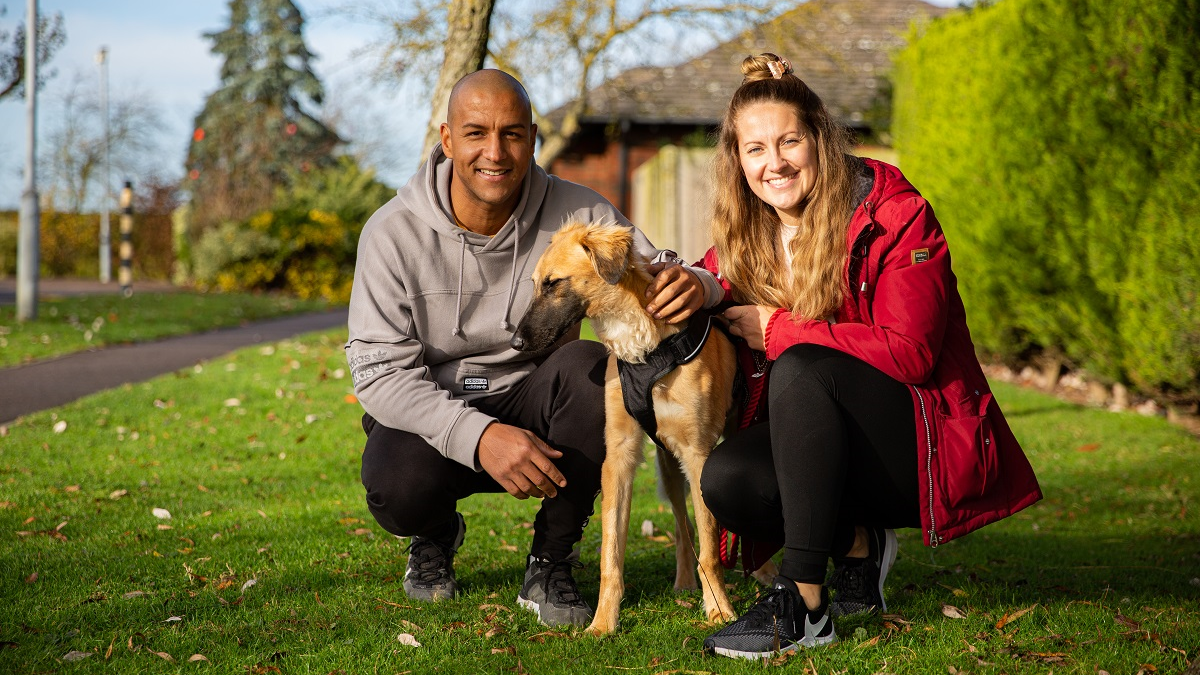 The Dog House - Sæson 4 HBO Max