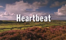 Heartbeat - Sæson 8 Britbox