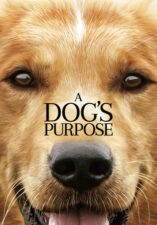 A Dog's Purpose