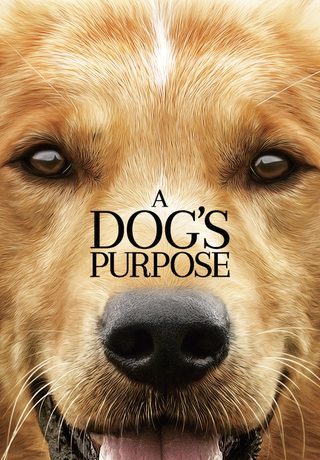 A Dog's Purpose