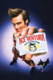 Ace Ventura C More