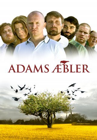 Adams æbler