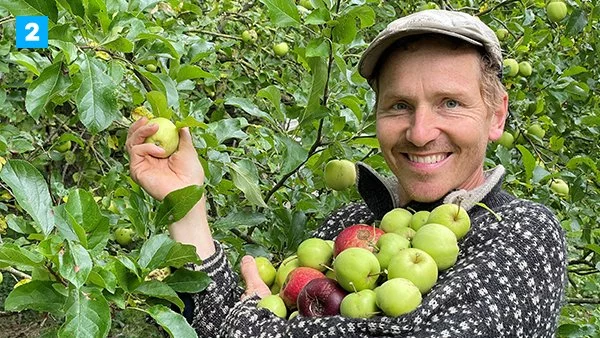 Æblefest på DR2 - helt ind til kernen DR TV