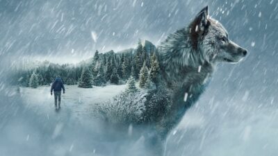 Alene i vildmarken USA - Sæson 11 DR TV