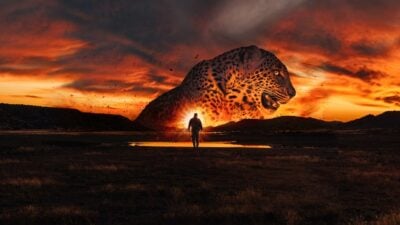 Alene i vildmarken USA XII DR TV