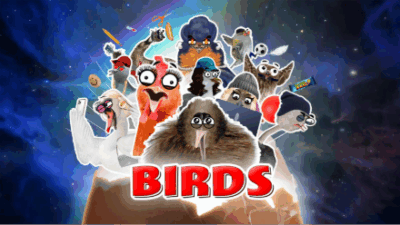 Birds DR TV