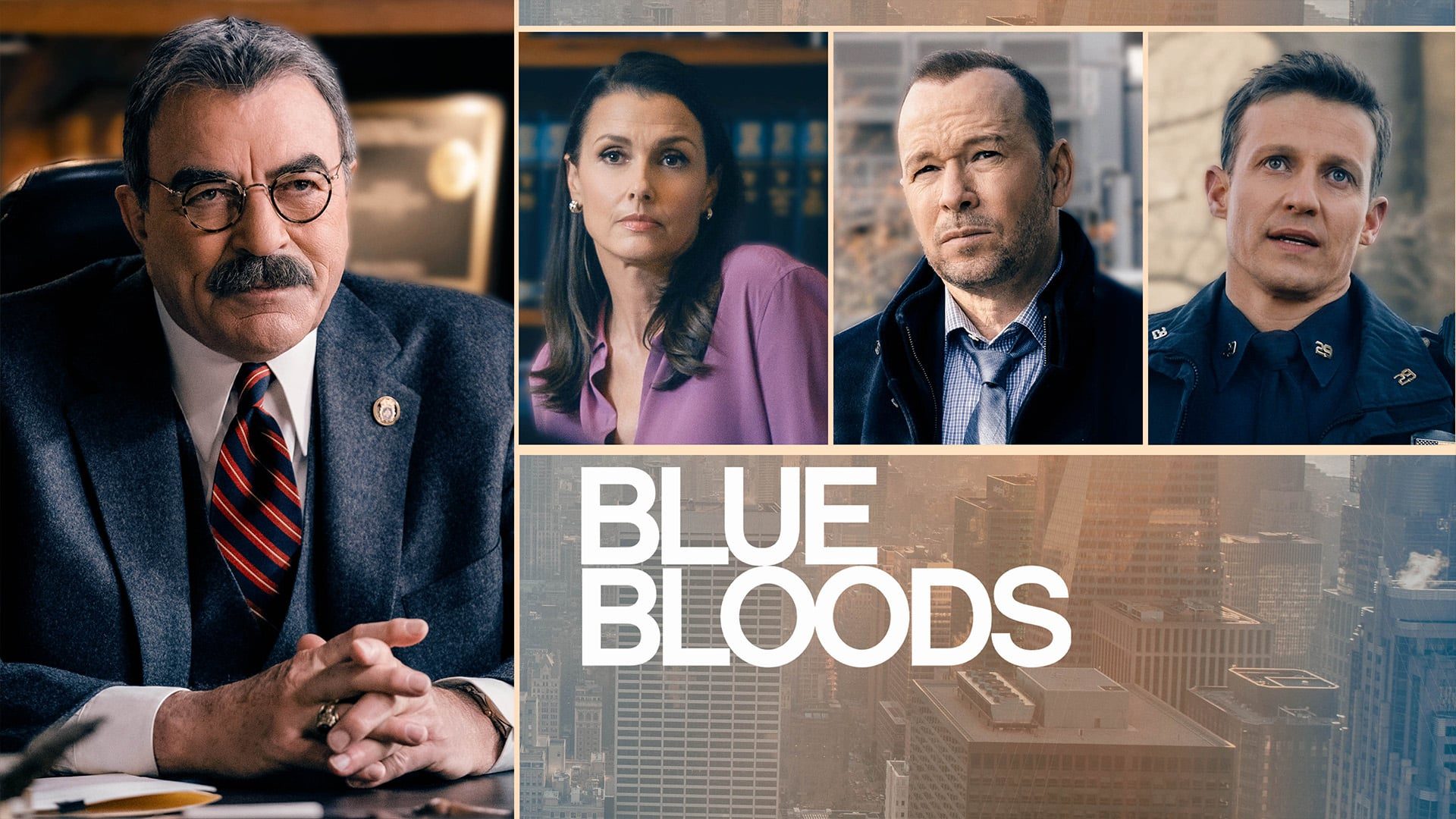 Blue Bloods - Sæson 13 Viaplay