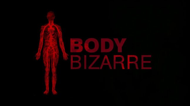 Body Bizarre - Sæson 8 HBO Max