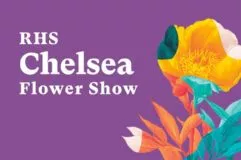 The RHS Chelsea Flower Show 2023 Britbox