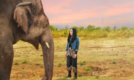 Cher and the Loneliest Elephant Paramount