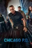 Chicago P.D. - Sæson 12 Viaplay