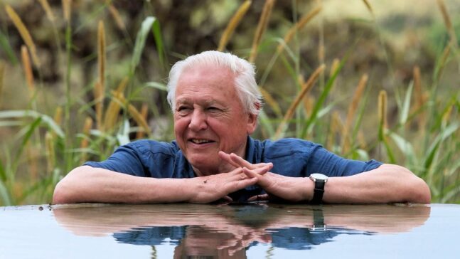 David Attenborough's Global Adventure Viaplay