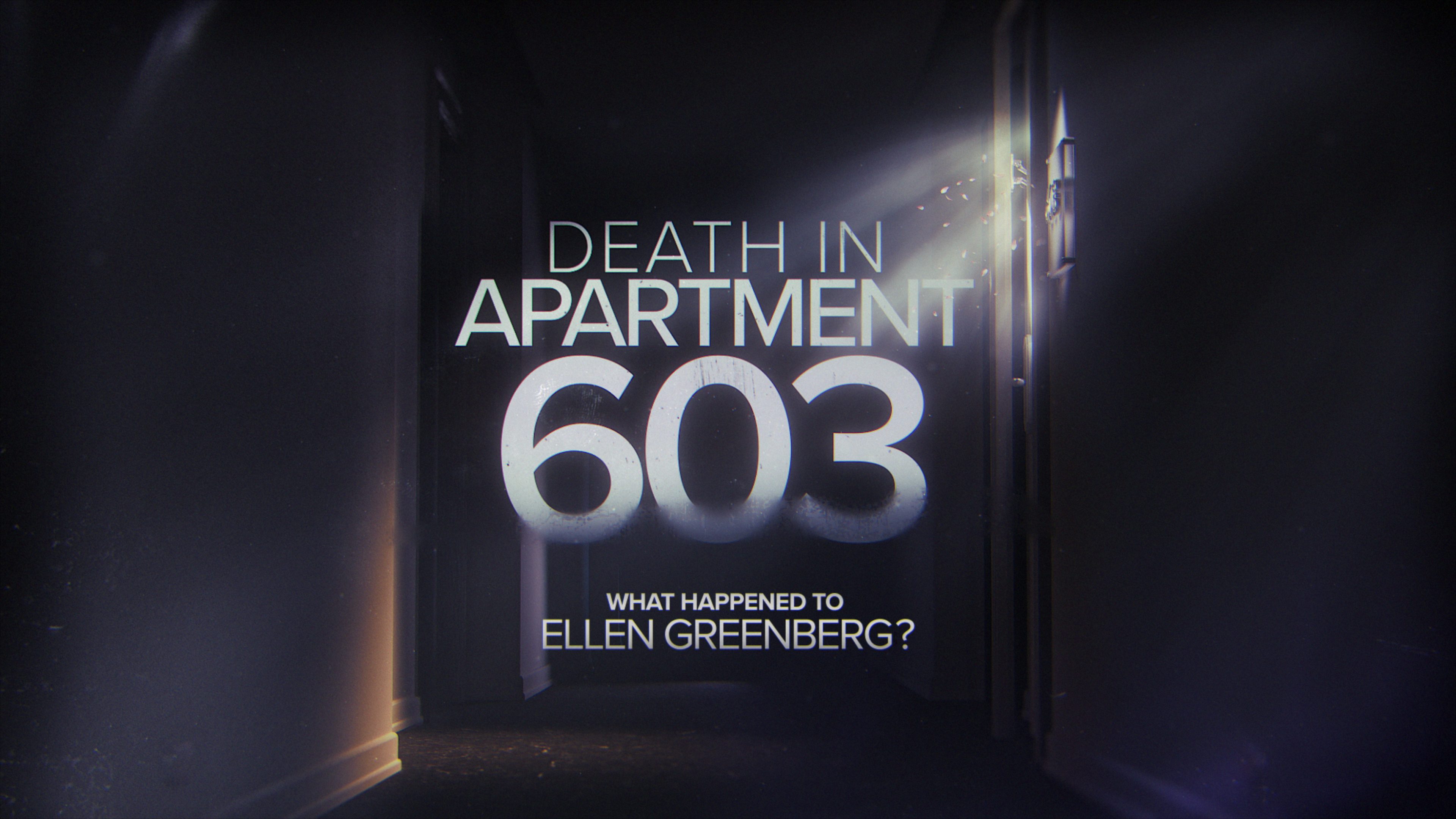 Death in Apartment 603: What Happened to Ellen Greenberg?