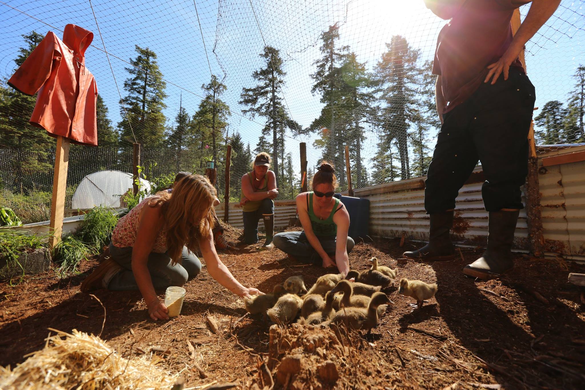 Den Lovløse Ø - Sæson 1-3 Disney