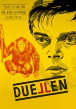Duellen