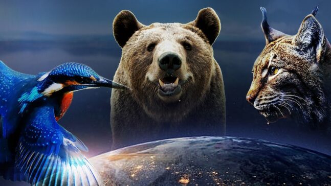 Eventyrlige Europa DR TV