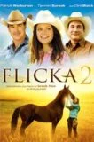 Flicka 2 2010