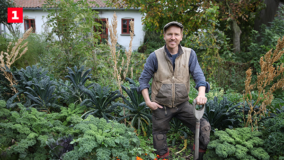 Frank & Kastaniegaarden - Sæsonpremiere DR TV