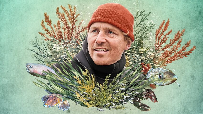 Giv os naturen tilbage