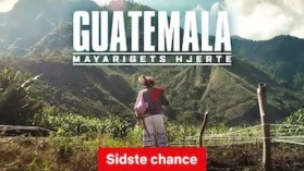 Guatemala: Mayarigets hjerte