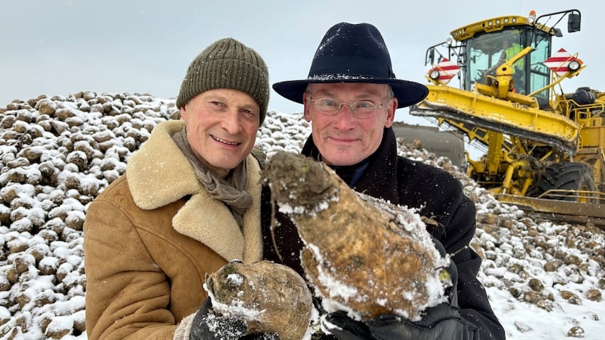 Guddommelig mad – Sæson 3